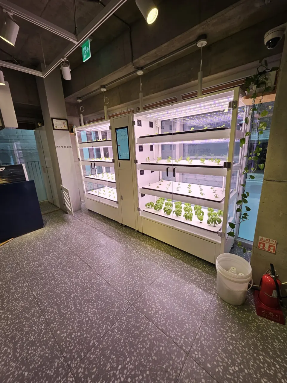 스마트팜 창업 준비자가 참고하는 카페 매장 안 재배 캐비닛
